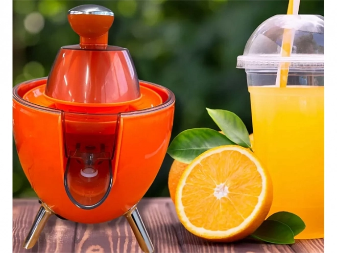 Electric Citrus Juicer for Lemons and Oranges