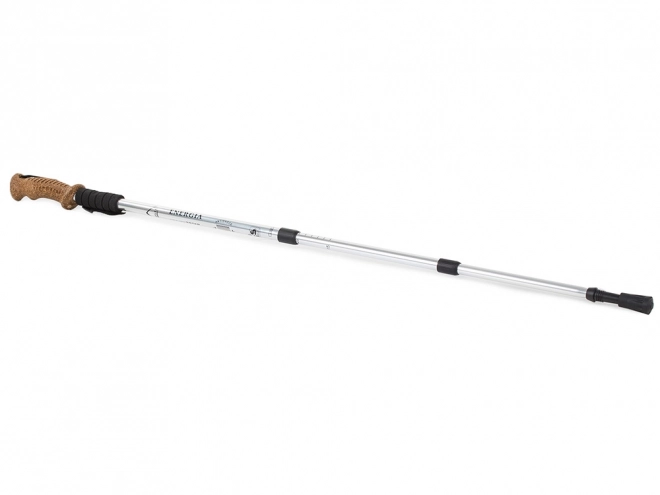 Bastone Nordic Walking Trekking con Impugnatura in Sughero – Argento