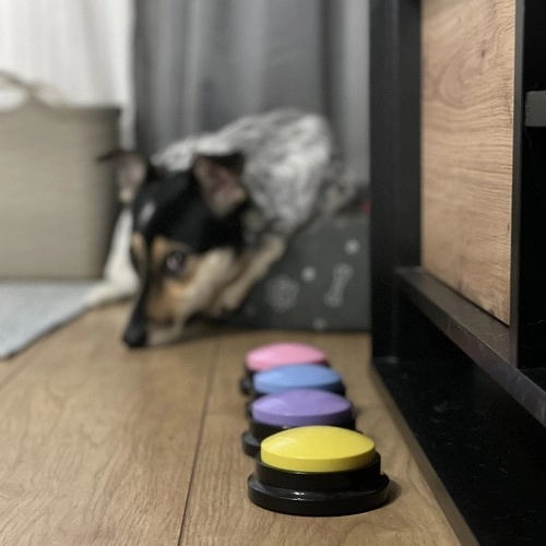 Purlov Talking Dog Training Buttons