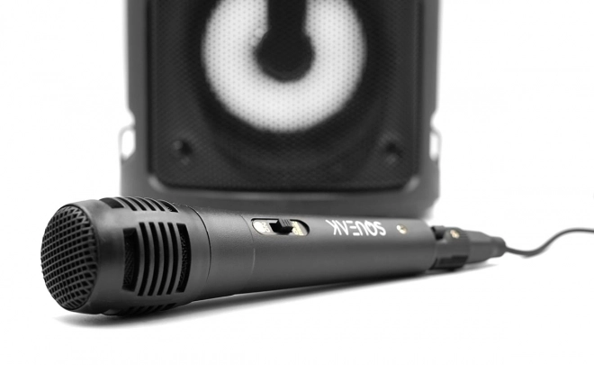 Bluetooth Speaker Harmony with Karaoke Function