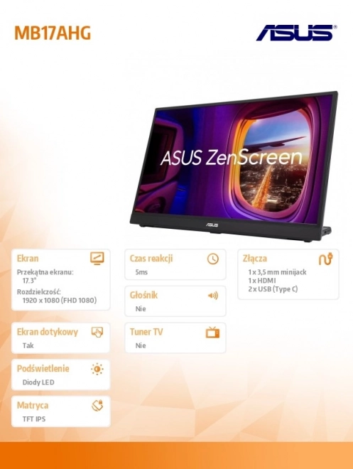 17-inch IPS Monitor
