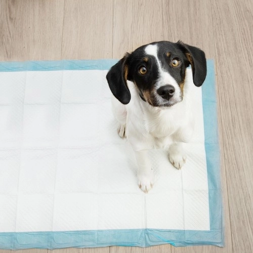Tappetini igienici monouso con sacchetti per cani