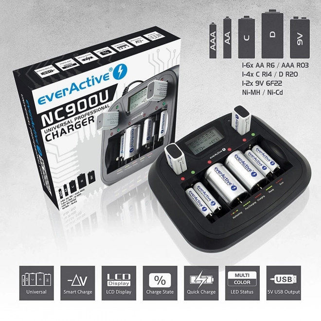Everactive universal battery charger