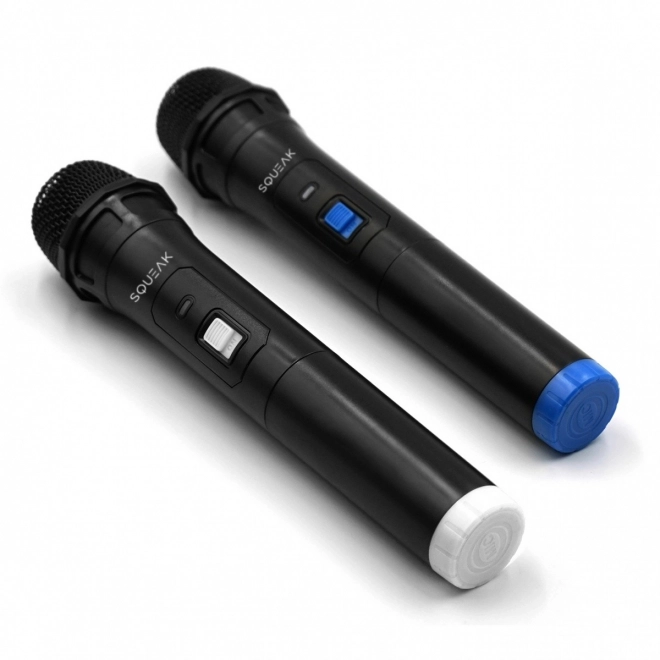Karaoke Microphone Set VocalDuo with 30 Meter Range