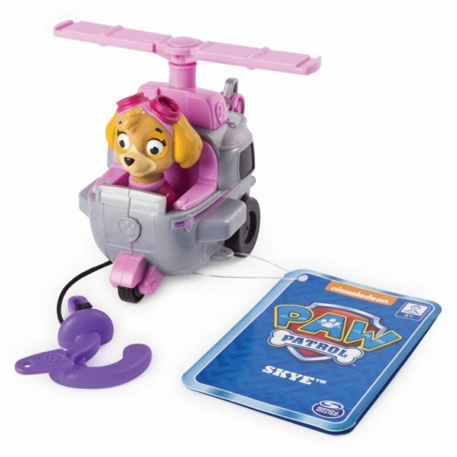 Paw Patrol piccolo veicolo con figurina di vari tipi
