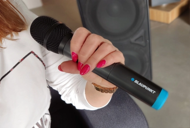 Wireless UHF Microphone