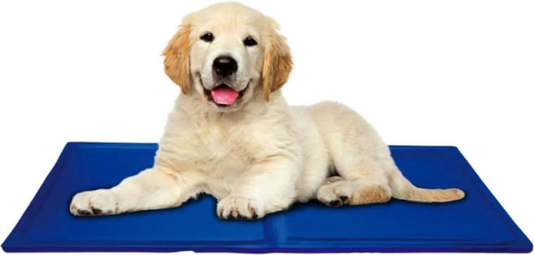 Compatto e da viaggio