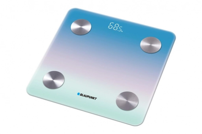 Bluetooth Personal Scale