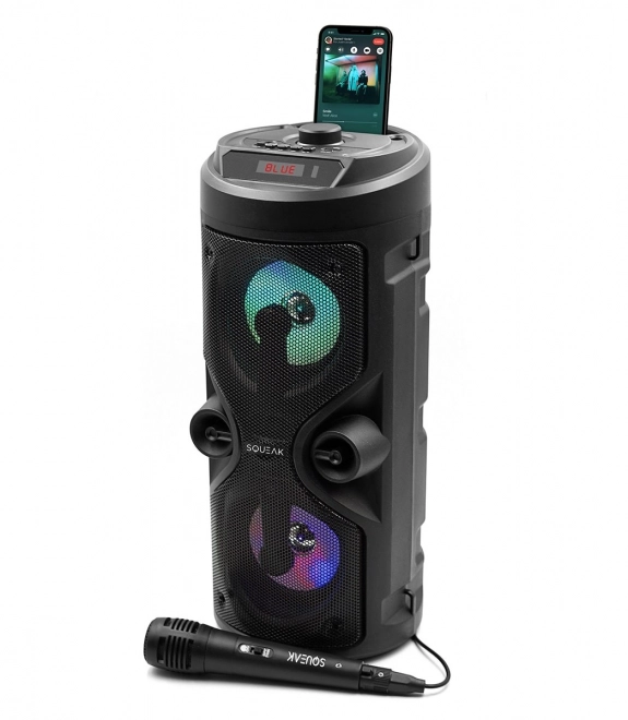 Bluetooth Speaker Harmony with Karaoke Function