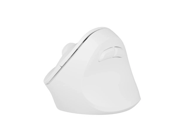Ergonomic Design