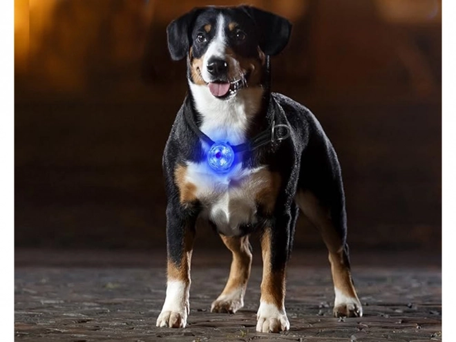 LED Light for Pet Collar