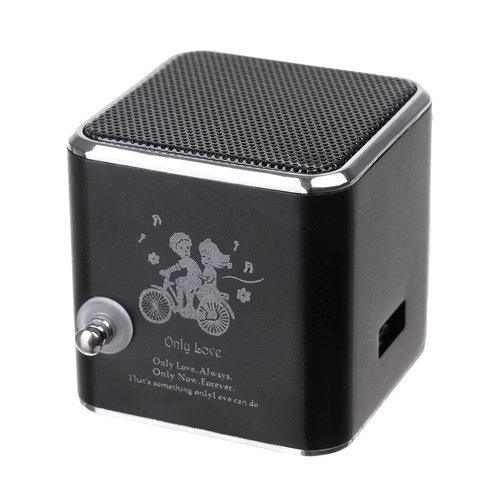 Tragbares Bluetooth-Lautsprecherradio mit LCD