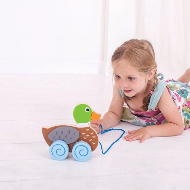 Supports motor skills and coordination from 12 months