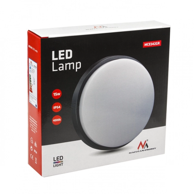 LED Wall and Ceiling Light
