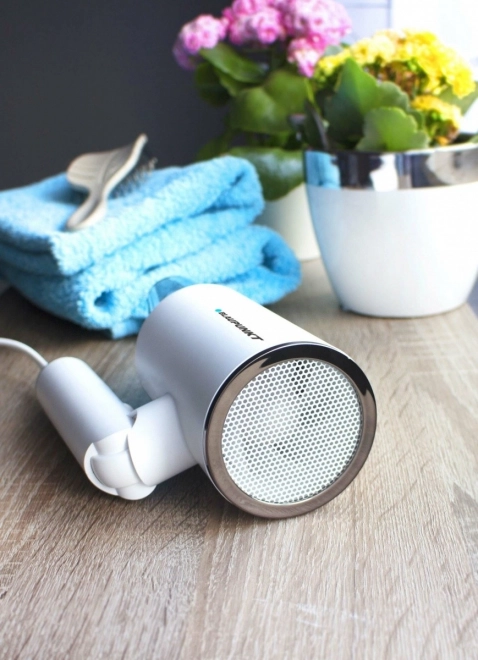 Hair Dryer with Ionization Function