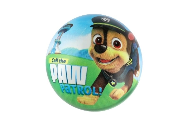 Paw Patrol Inflatable Ball