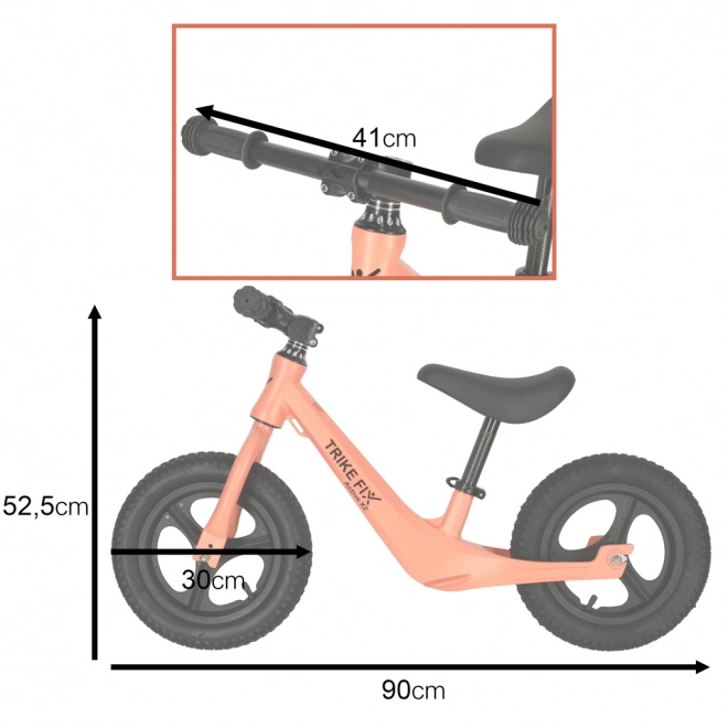 Balance Bike Trike Fix Active X2