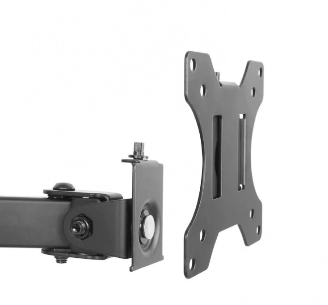 Desk Mount for Dual Monitors