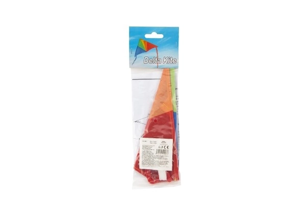 Colorful flying nylon delta kite