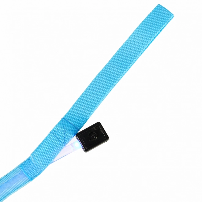 Leuchtende LED-Hundeleine Blau