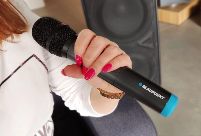 Wireless UHF Microphone