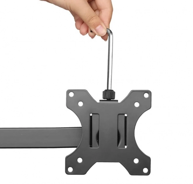Desk Mount for Dual Monitors