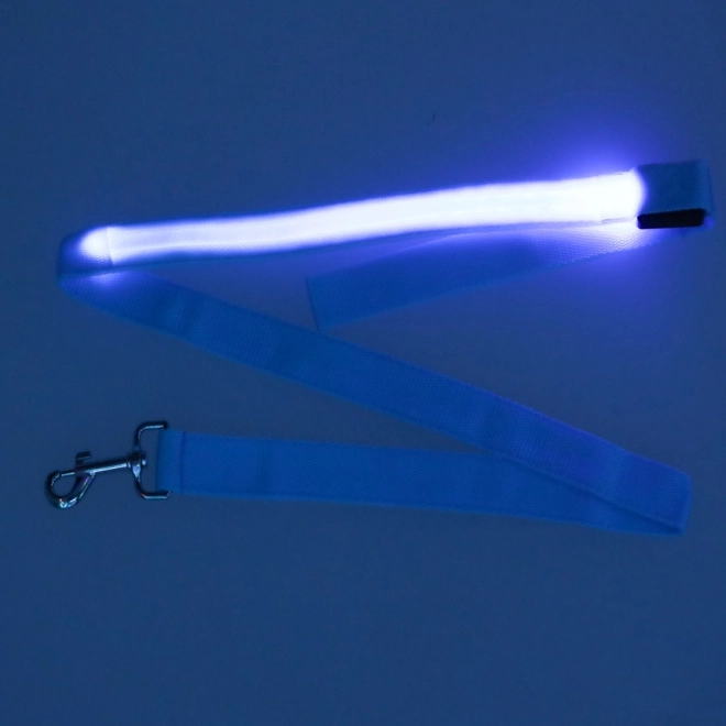 Leuchtende LED-Hundeleine Blau