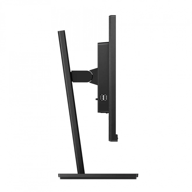 Monitor 27 pollici pivot IPS