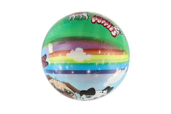 Inflatable Dog Ball 23cm