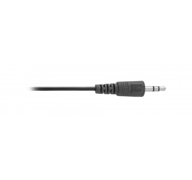 Computer Microphone with Flexible Neck