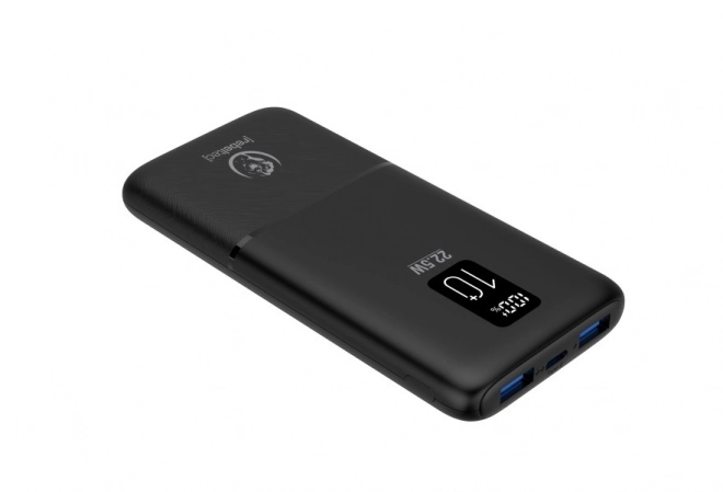 Rebeltec High Capacity 10000mAh LCD Power Bank