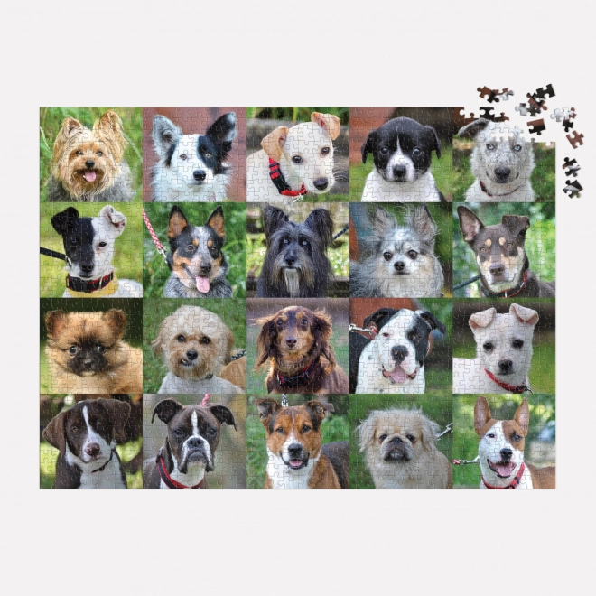 Galison Puzzle Shelter Dogs 1000 Pieces