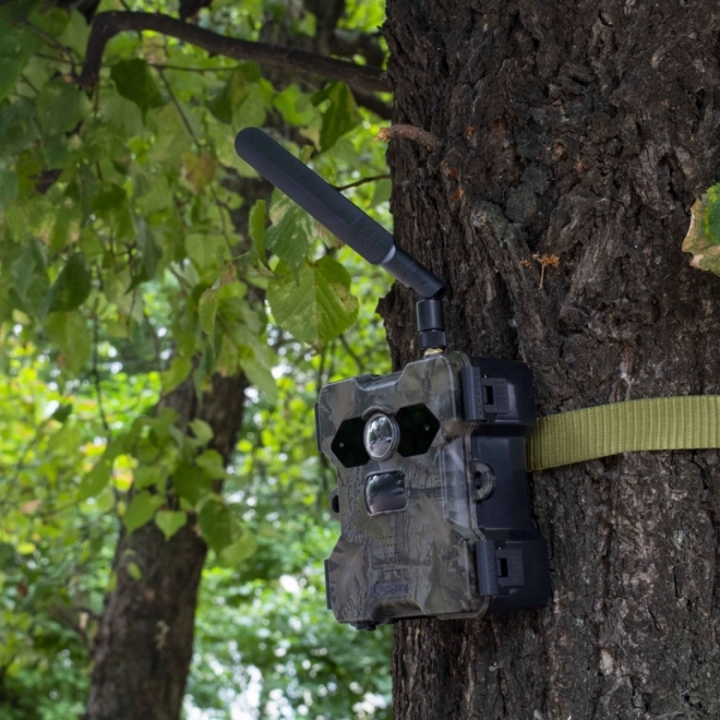 Technaxx 4G Solar Wildlife Camera