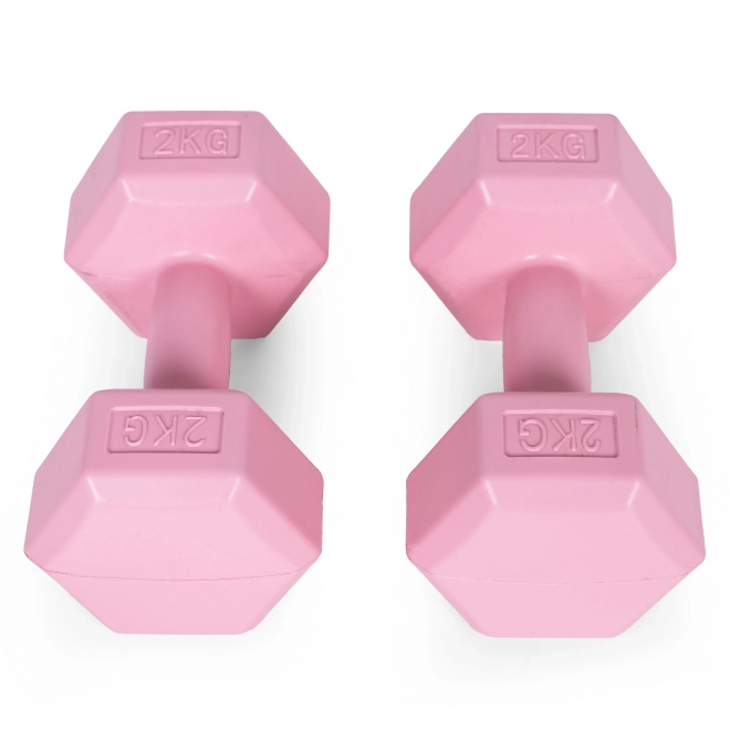 Set of Pink Dumbbells 2x2 kg ModernHome for Fitness