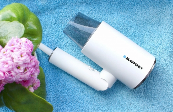 Hair Dryer with Ionization Function