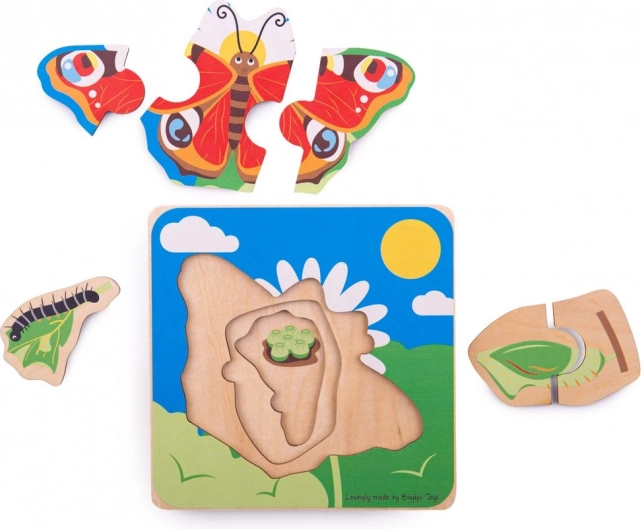 Hands-on learning of the life cycle