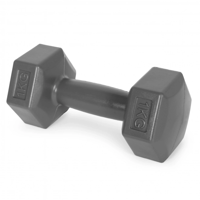 Dumbbells Hex ModernHome 2x1 kg