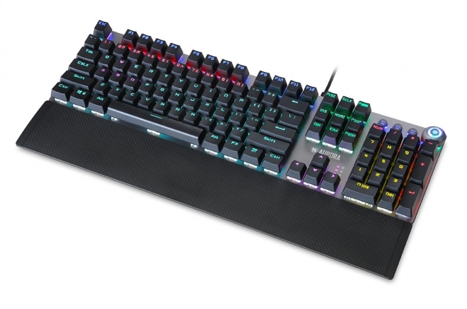 Customizable RGB Backlighting