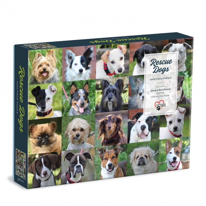Galison Puzzle Shelter Dogs 1000 Pieces