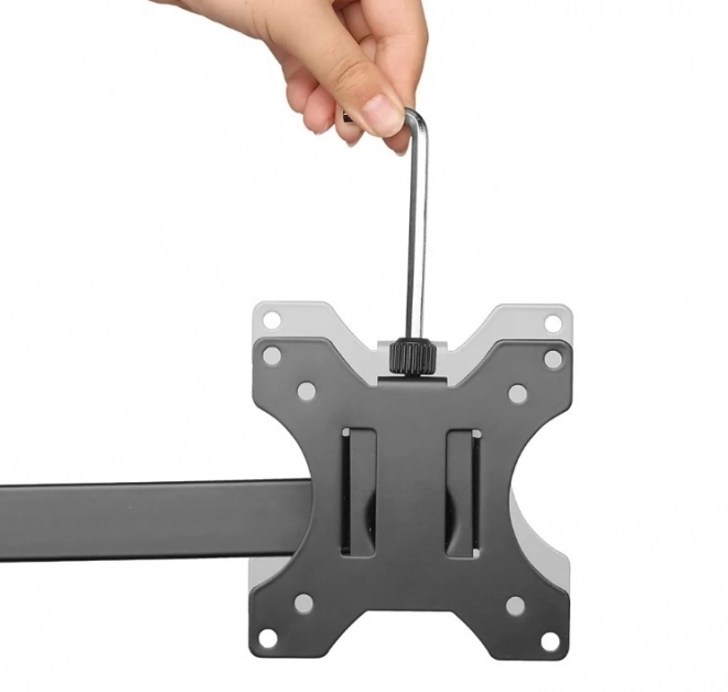 Desk Mount for Dual Monitors