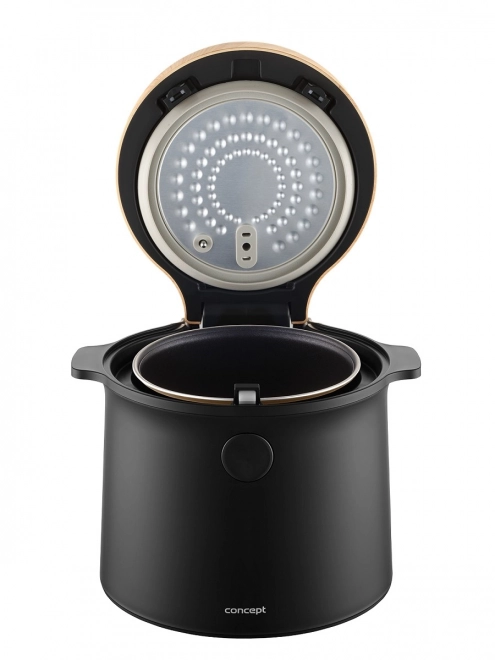 Multifunctional Rice Cooker with 9 Cooking Programs