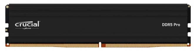 Crucial DDR5 Desktop Memory 24GB