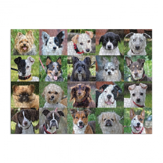 Galison Puzzle Shelter Dogs 1000 Pieces