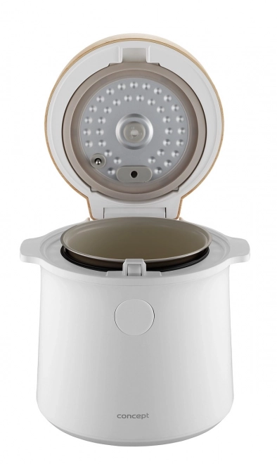 Multifunction Rice Cooker