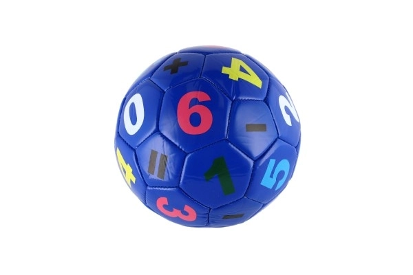 Ballon de football petit junior gonflé cousu 15cm cuir avec filet