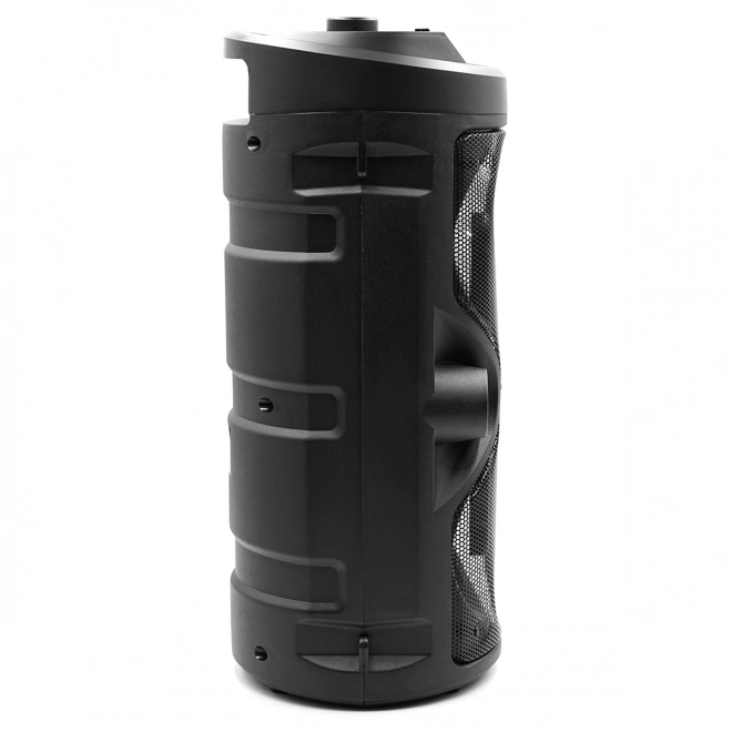 Bluetooth Speaker Harmony with Karaoke Function