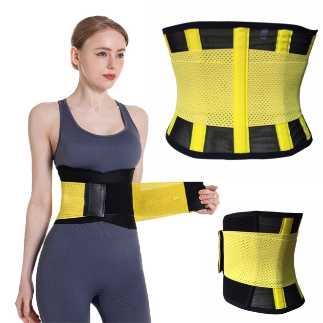 Health Support and Body Shaping