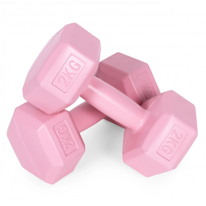 Set of Pink Dumbbells 2x2 kg ModernHome for Fitness