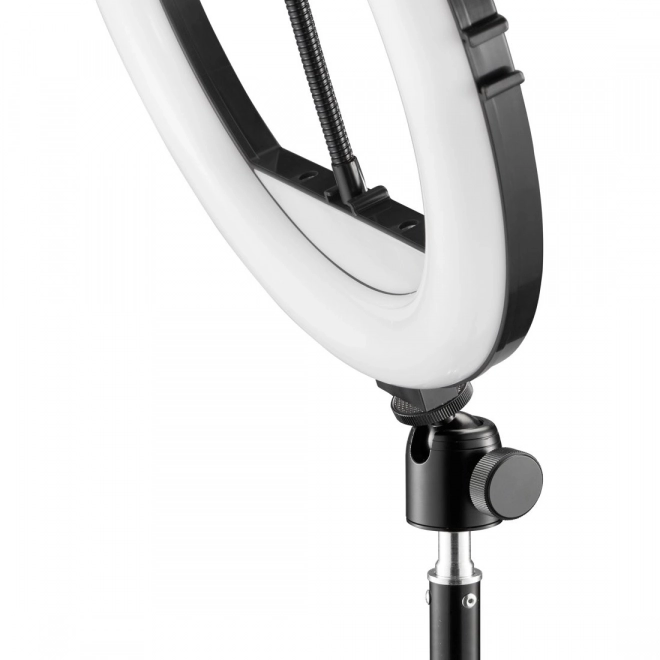 Ring Light on Tripod