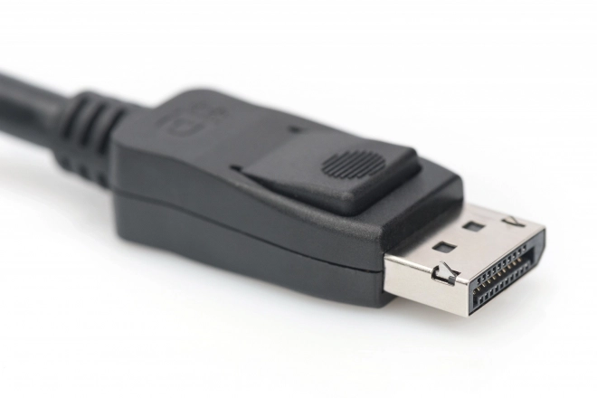 DisplayPort Verbindungskabel 8K UHD Schwarz 2m